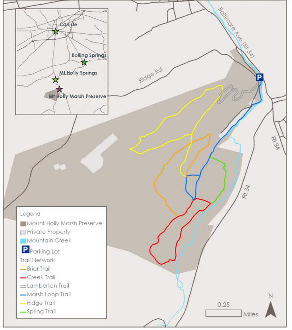 6. Mt. Holly Marsh Preserve Trail Network